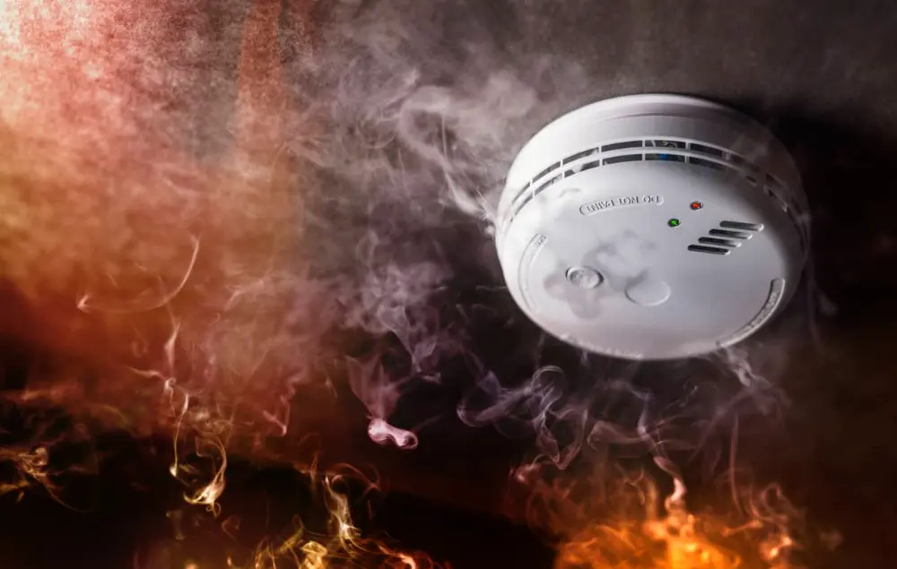 What are Flame Detectors and How Do They Work